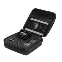 Audiotec Fischer AMI Interface