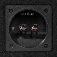 Subwoofer en caja Rockford Fosgate Punch P3-1X12