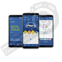 Starline S9 4G | Alarma, Inmovilizador y GPS (incluye instalación + Chip activado por 1 año)